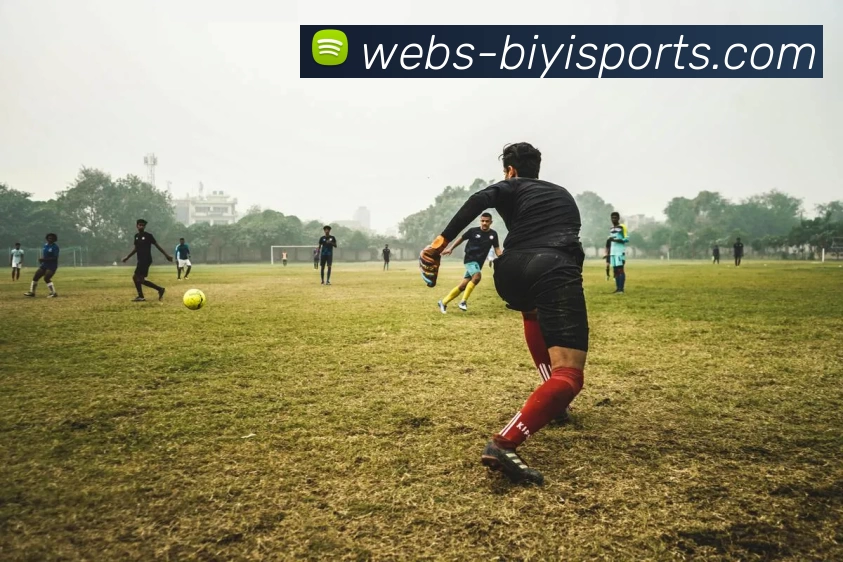 biyi体育发展历程